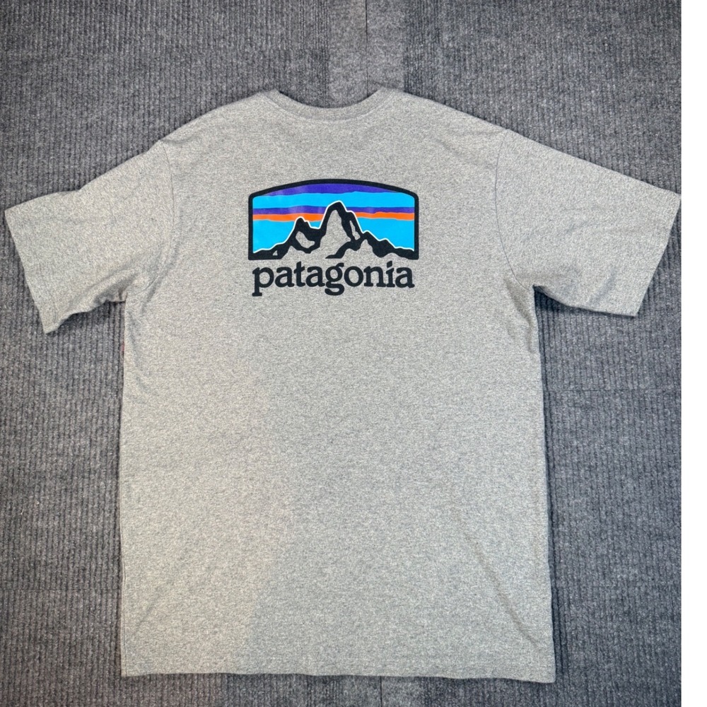 Patagonia Mens Responsibili-Tee Grey Fitz Roy Mountain Logo T-Shirt Medium M